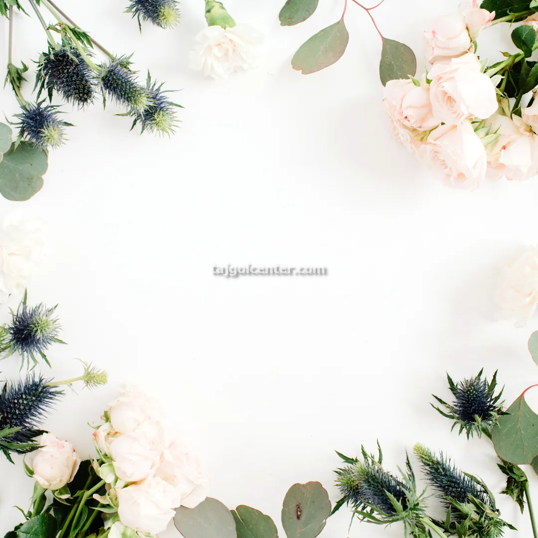 خرید و فروش تاج گل رز سفید در تهران