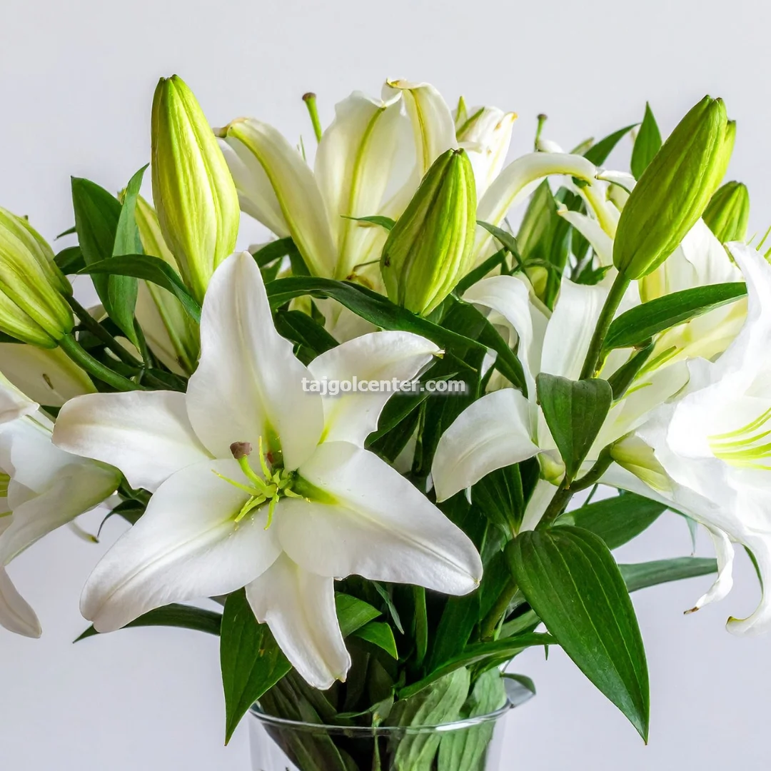 خرید و فروش تاج گل لیلیوم سفید در تهران