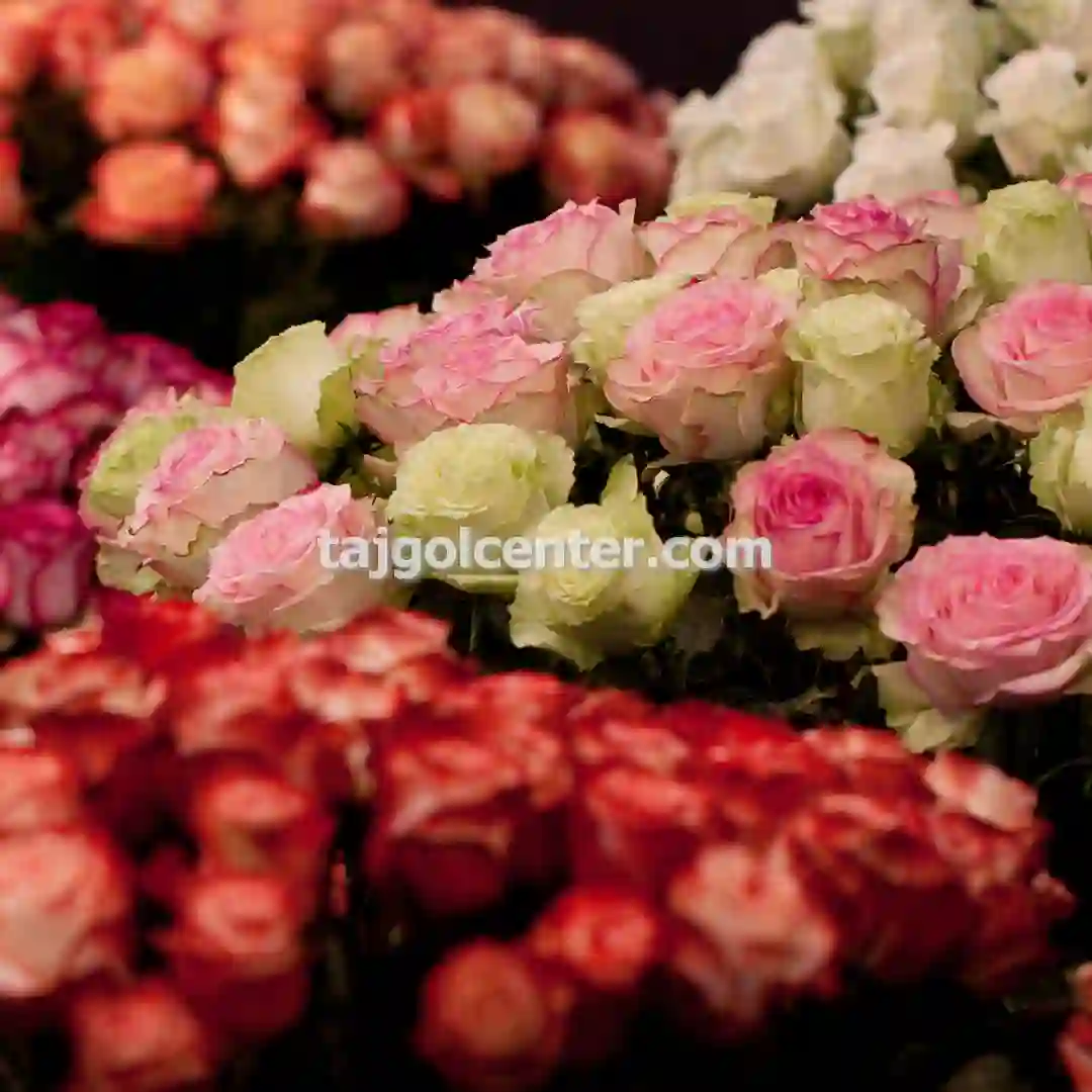 راهنمای خرید تاج گل تسلیت برای مراسم تسلیت در شرق تهران